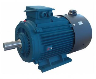 YVF2變頻調(diào)速三相異步電動機(jī)