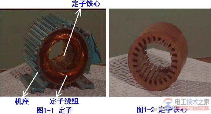 三相異步電動機(jī)的結(jié)構(gòu)